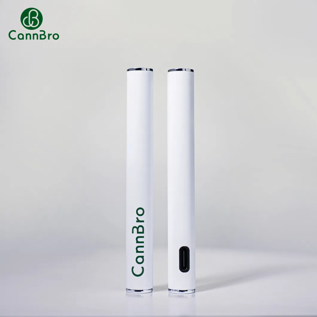 Custom Color Electronic Cigarette 510 Vape Pen 290/350/400mAh Battery