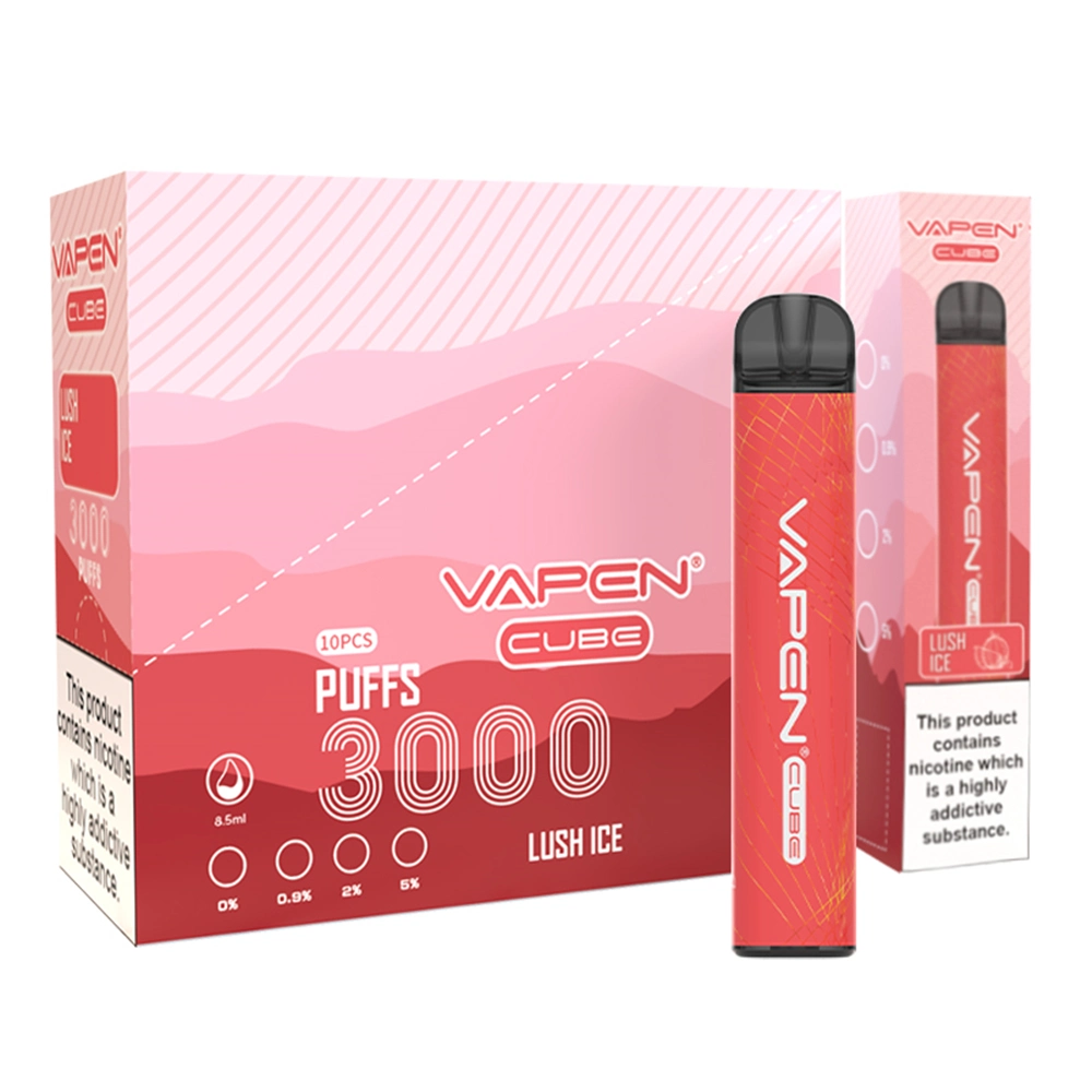 Wholesale Puffs 1000mAh Battery Vapen Cube 3000puffs Disposable Vape Pen