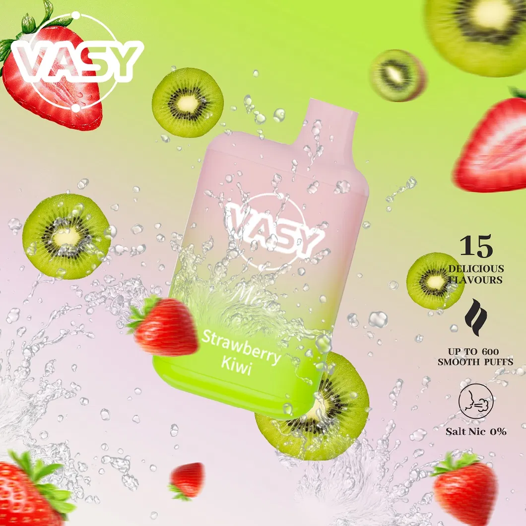 Europe and UK Hot Selling Vasy Mini 600 Puffs 2% Nicotine and Without Salt Nic Multi Flavors Disposable Vape Wholesale Price