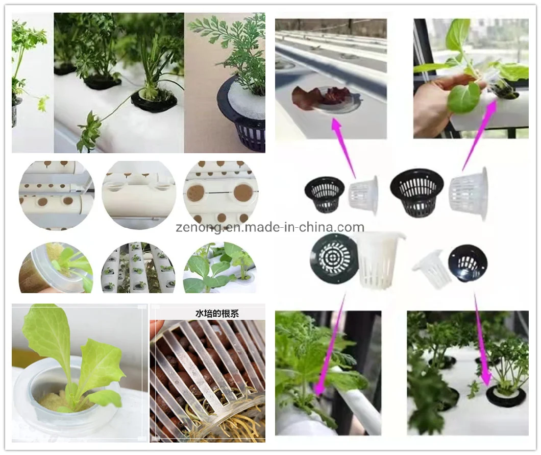 Garden Greenhouse Hydroponics PP PVC Mesh Net Planting Soilless Cultivation Plant Rooter Cup Basket Vegetables Grow Pot