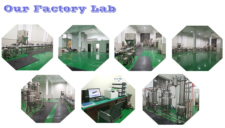 High Effect Full-Automatic Vacuum Evaporator Double Effect Fallling Film Evaporator for Animal Milk