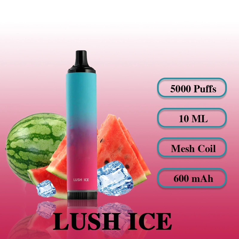 Wholesale 5000 Puffs Custom Rechargeable Vaporizer Pod LED Oil Disposable Vape Pen