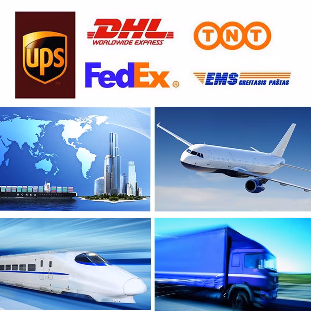 Wall Mounted Touch Screen Self Service Ordering Payment Kiosk with Printer