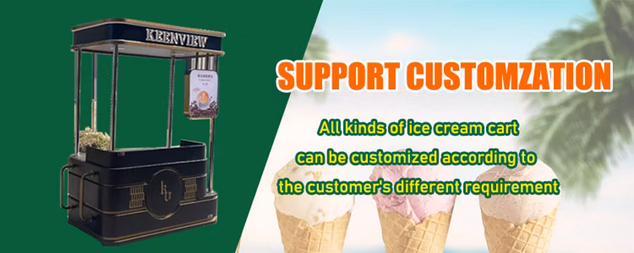2024 Hot Sale OEM Electric Cargo Three Wheel Ice Cream Bike with Good Price