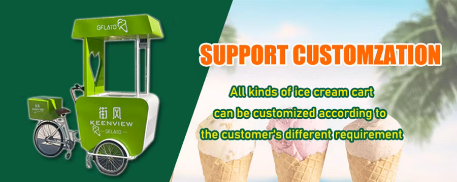 2024 Hot Sale OEM Electric Cargo Three Wheel Ice Cream Bike with Good Price