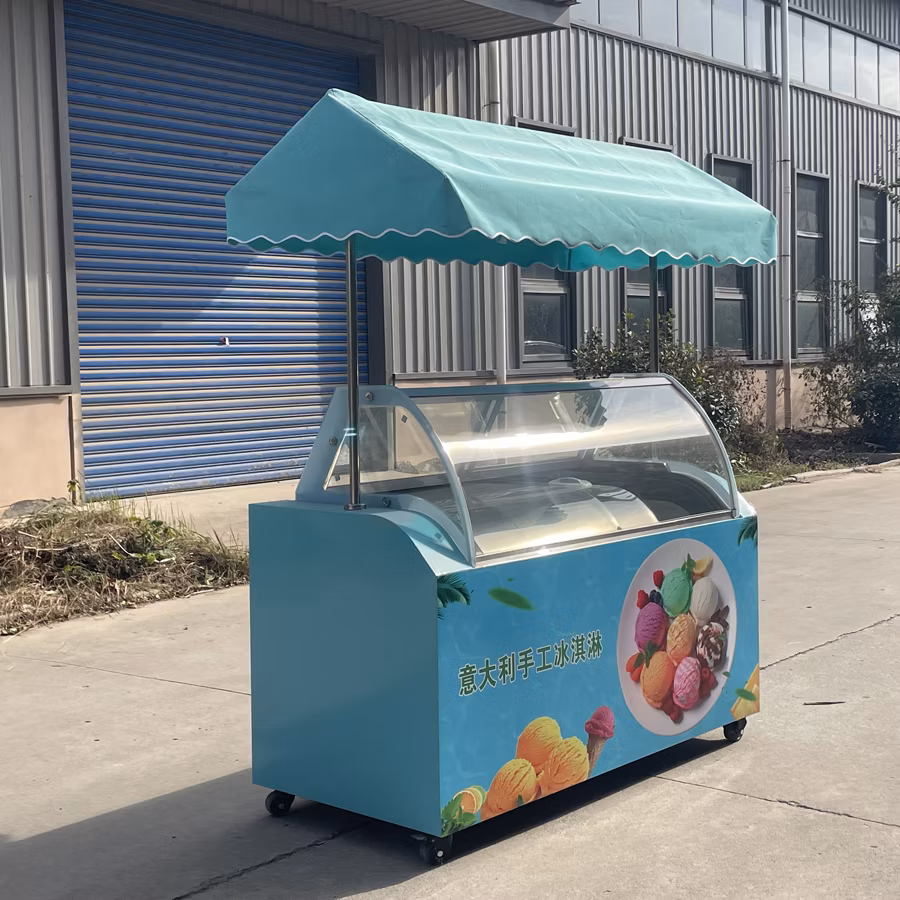 2024 Hot Sale OEM Electric Cargo Three Wheel Ice Cream Bike with Good Price