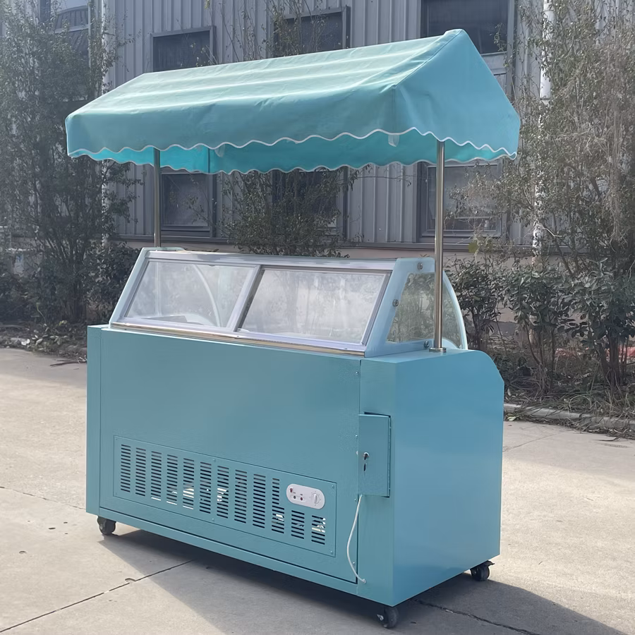 2024 Hot Sale OEM Electric Cargo Three Wheel Ice Cream Bike with Good Price