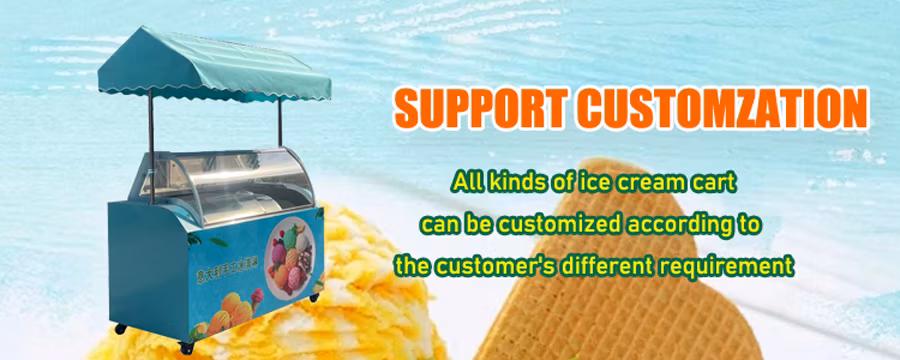 2024 Hot Sale OEM Electric Cargo Three Wheel Ice Cream Bike with Good Price