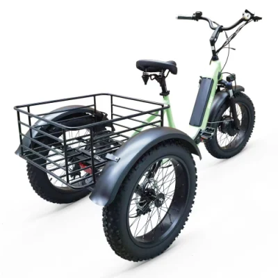 Сделано в Китае практичный трехколесный электрический велосипед для пожилых людей Производитель и завод