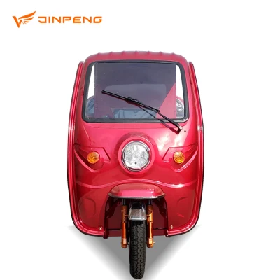 Cargo Trike с сертификацией EEC Электродвигатель Новая модель Jinpeng