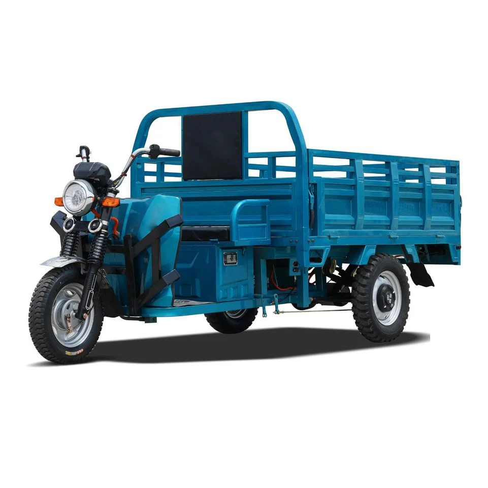 Wholesaler Adults 750W/500W 3 Wheel Car Cargo Electric Chinese Electric Tricycle Fat Tire Electric Tricycle