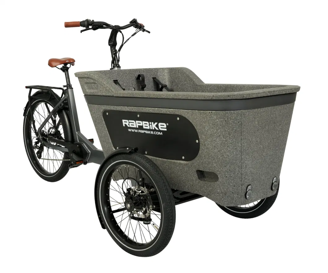 Carrying Children 20/26 Inch Inverted Three Wheels MID Motor Electric Tricycle Cargo Ebike At005