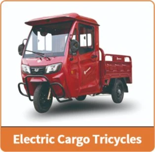 Jinpeng Electric Adult Tricycles for Passengers with Rechargeable Battery Saudi