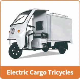 Jinpeng Electric Adult Tricycles for Passengers with Rechargeable Battery Saudi