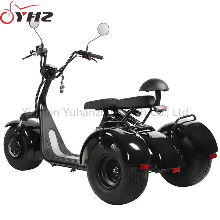 3-Wheel Citycoco Golf Electric Scooter 1500W 2000W Trike CE with Fat Tyres