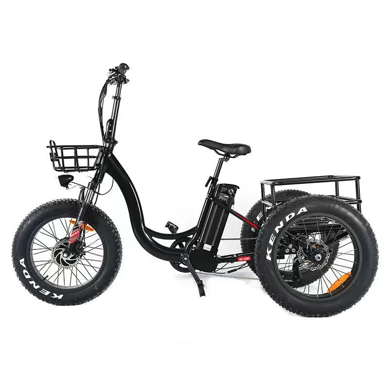 48V500W Fat Tire Electric Trike