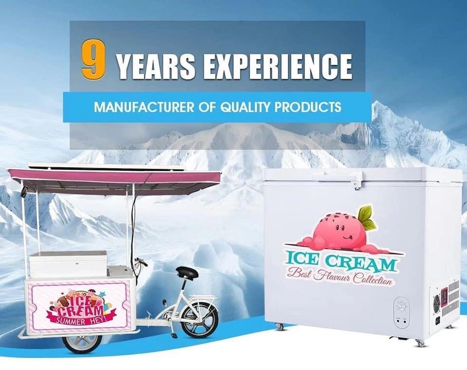 208L Freezer with Ice Cream Tricycle with Solar Panel Battery Powered System