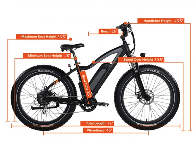 Hot Selling Foldable Adult E-Bike, Two-Wheel Mobility Bike