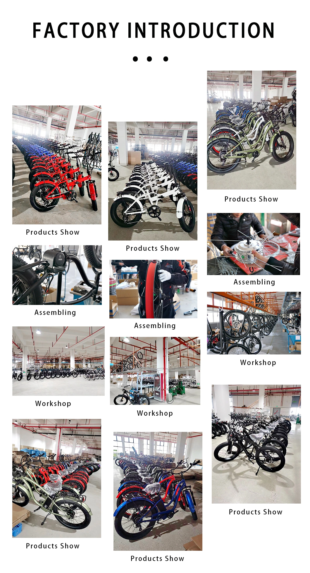 48V500W Fat Tire Hot Sale Electric Cargo Trike