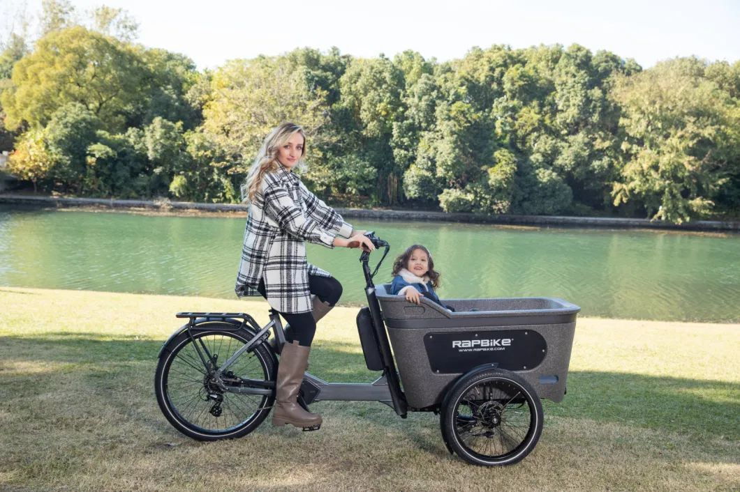 Carrying Children 20/26 Inch Inverted Three Wheels MID Motor Electric Tricycle Cargo Ebike At005