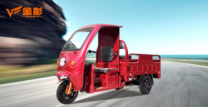 2023 Best Quality Electric Cargo Trike Made in China