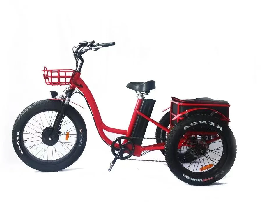 48V500W Fat Tire Electric Trike