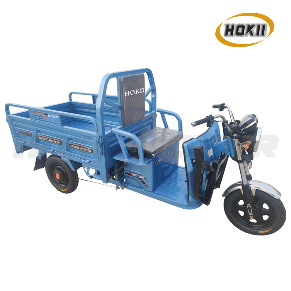 Cargo Transport 1000W Motor Electric Tricycle Triciclo Electrico for Sale