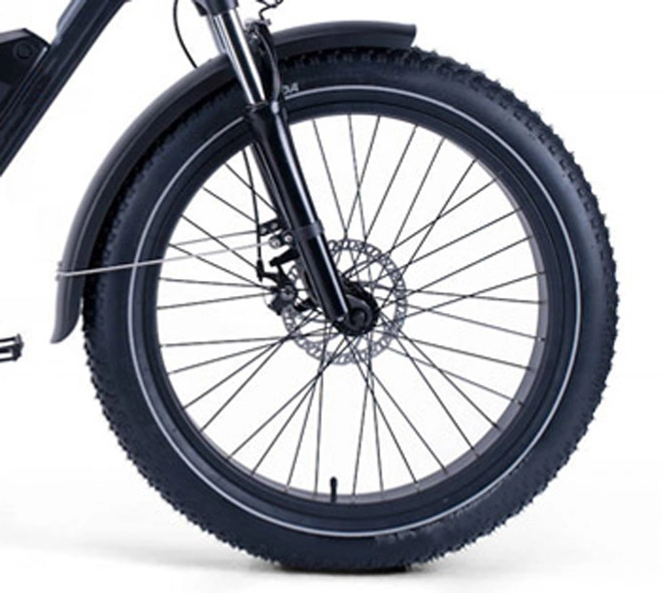 Hot Selling Foldable Adult E-Bike, Two-Wheel Mobility Bike