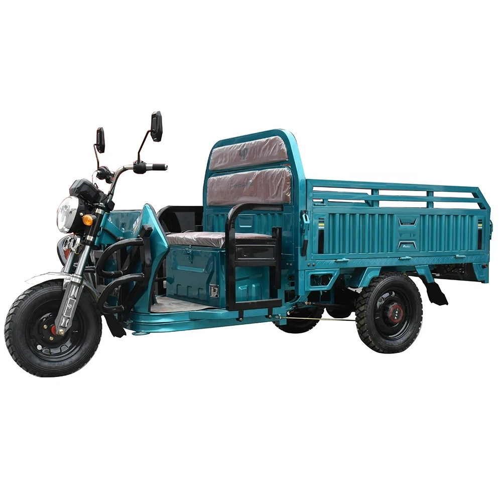 China Factory Sale OEM/ODM Electric Tricycle 1000W Powerful Adult Electric Tricycle Trike