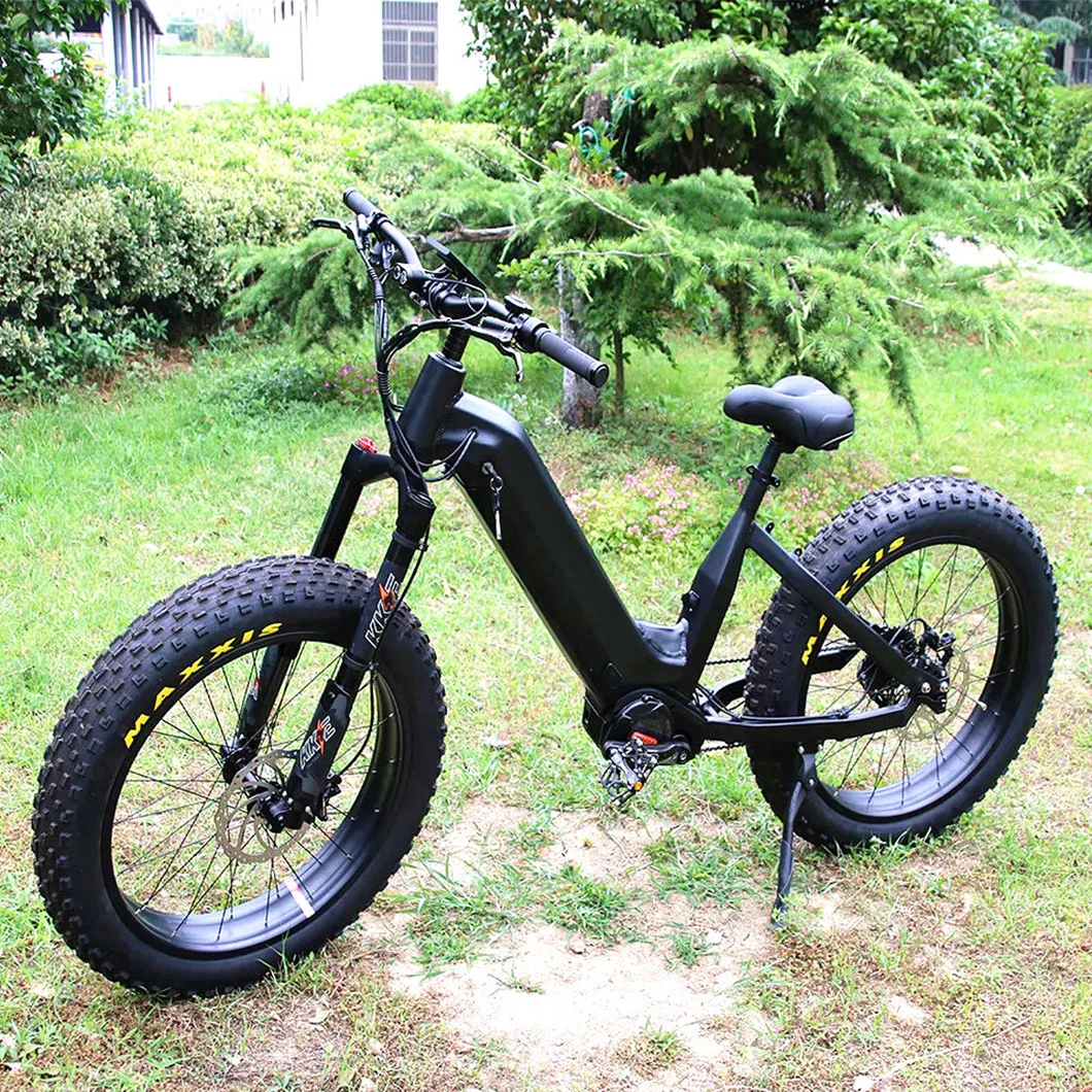 Aluminum Alloy Step Thru Frame E-Bike 1000W MID Motor 48V 30ah Lio Battery Electric Fat Bike