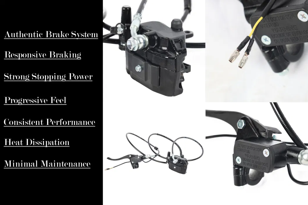 Pardo Zs-T Fashionable Tricycle with Lead-Acid Battery