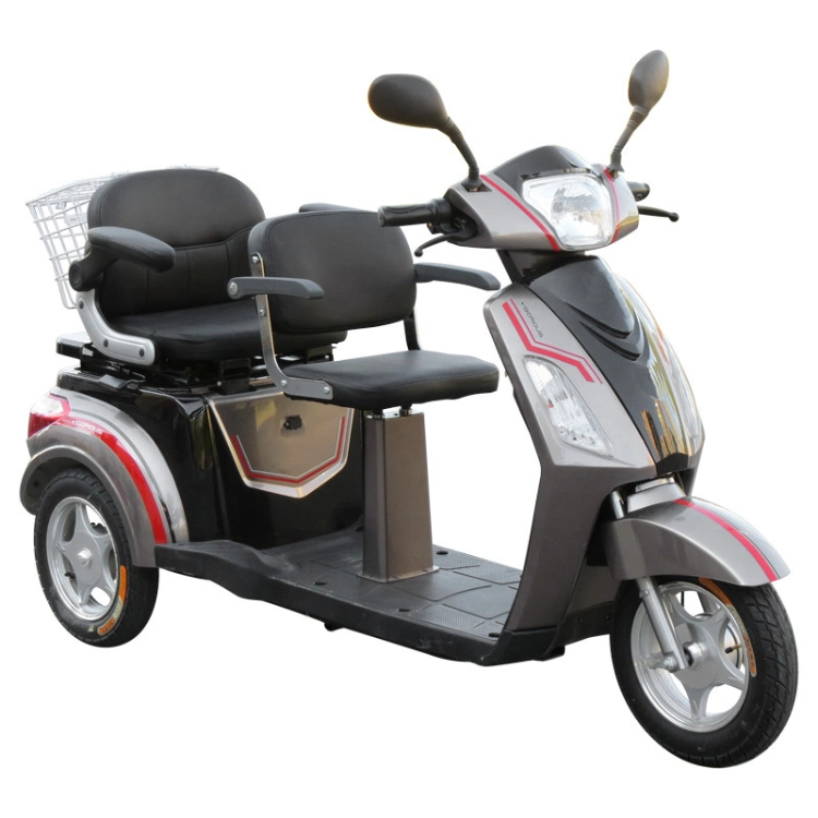 500W/700W 48V Two Seats Electric Tricycle with Lead-Acid Battery (TC-018B)