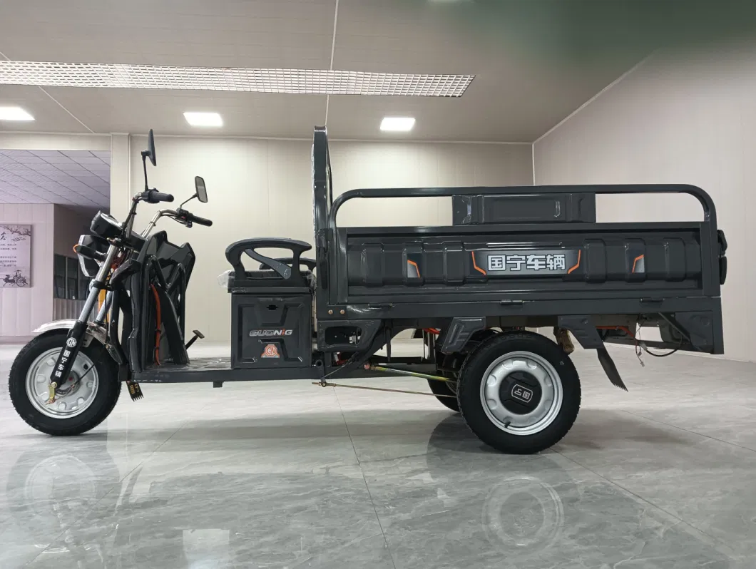 Electric Tricycle for Two Person Motorized Tricycles 800W Motor 3 Wheel Electric