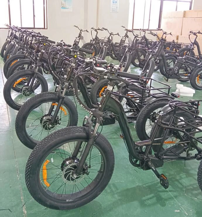 Queene Electric Tricycles for Sale /China Fat Tire Electric Trike Electricos/Cheap Electric Trike Cargo Turkey E Trike for Sale