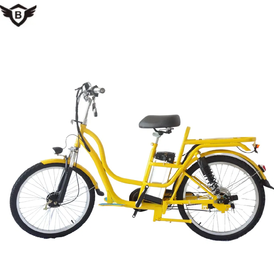 Which Import Wholesaler of Electric Bicycles in The City Is Near Me