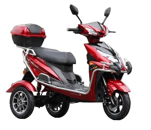 Pardo Zs-T Fashionable Tricycle with Lead-Acid Battery