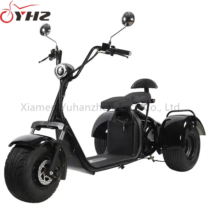 3-Wheel Citycoco Golf Electric Scooter 1500W 2000W Trike CE with Fat Tyres