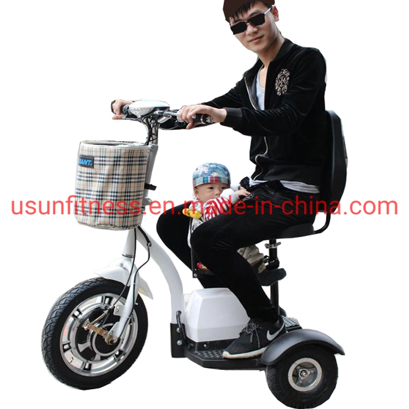 Black Color Electric Bike with 3 Wheels