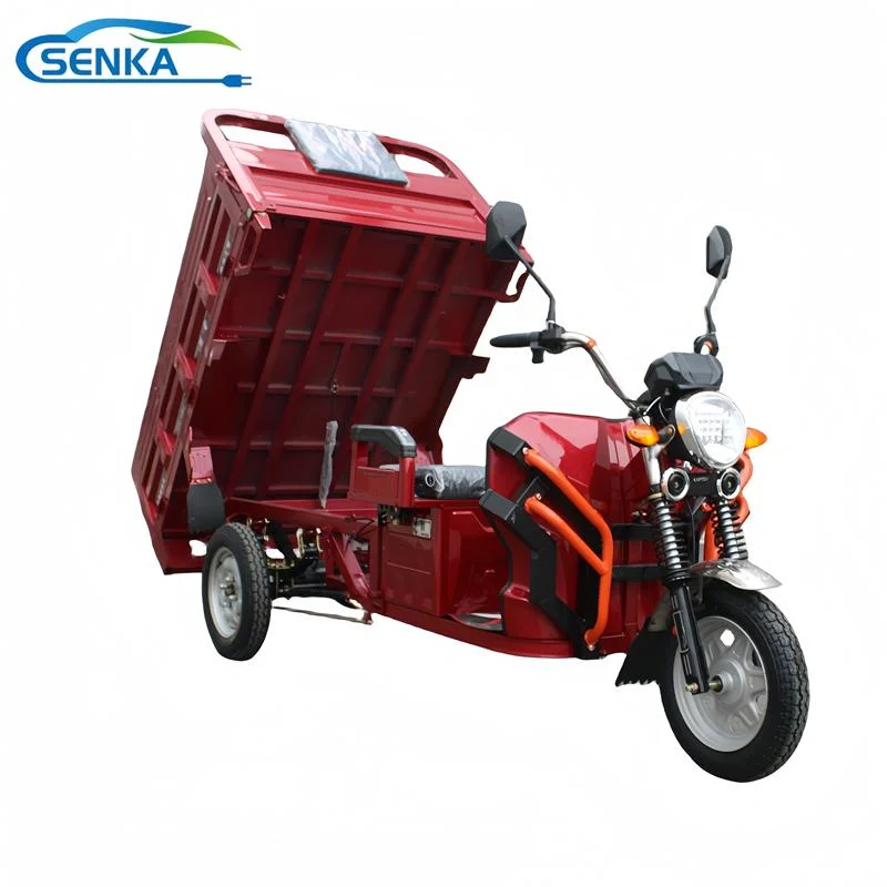 Senka Brand 3 Wheels Tricycle Mobile Electric Trike for Agriculture Delivery