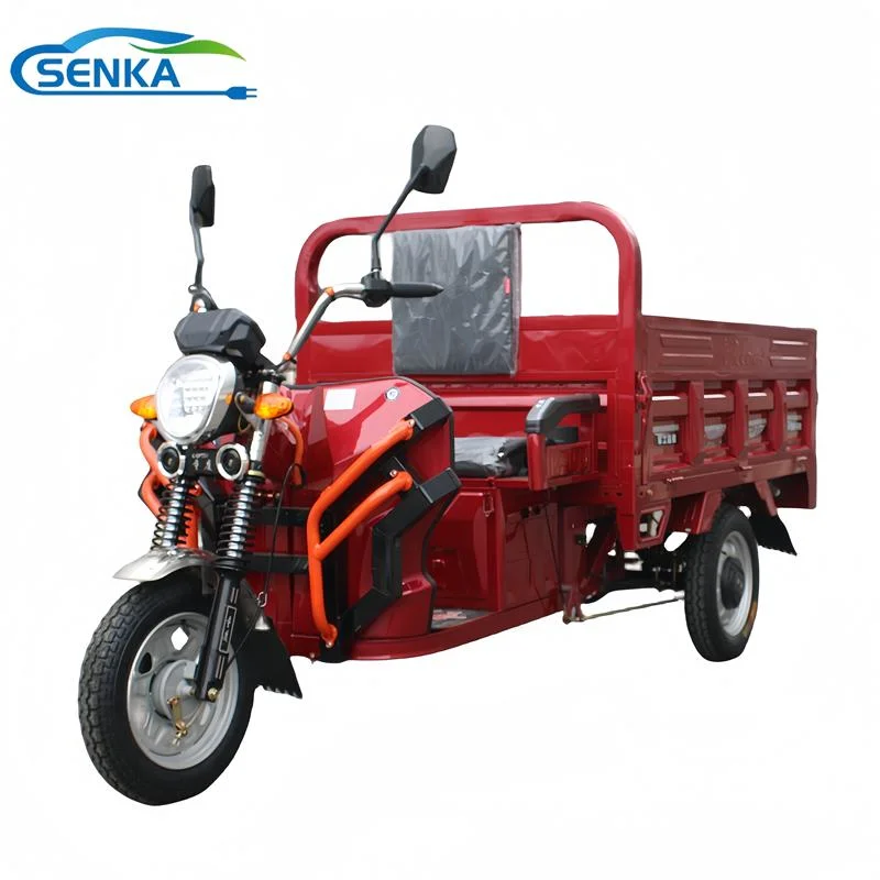 Senka Brand 3 Wheels Tricycle Mobile Electric Trike for Agriculture Delivery