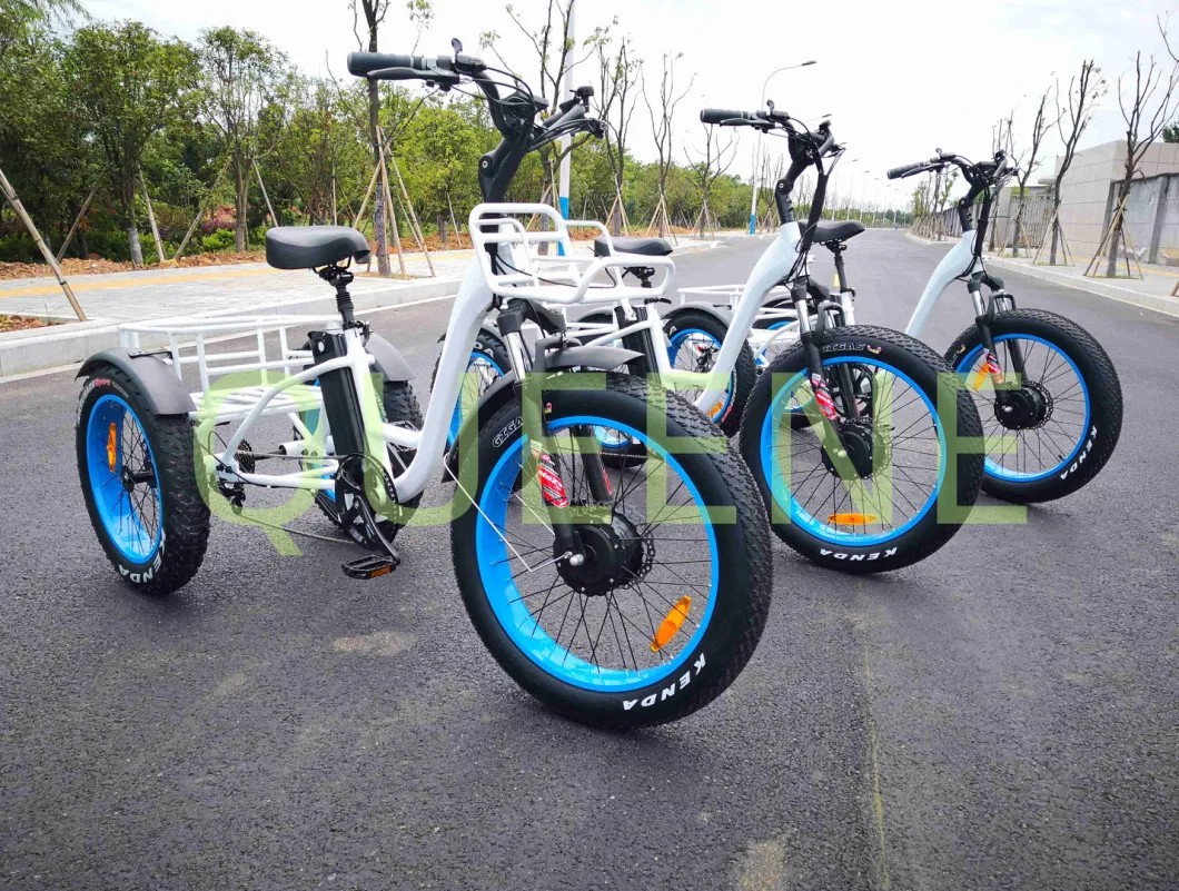 Queene Electric Tricycles for Sale /China Fat Tire Electric Trike Electricos/Cheap Electric Trike Cargo Turkey E Trike for Sale