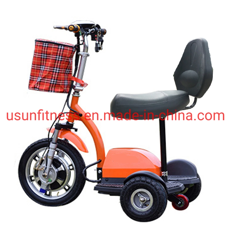 Black Color Electric Bike with 3 Wheels