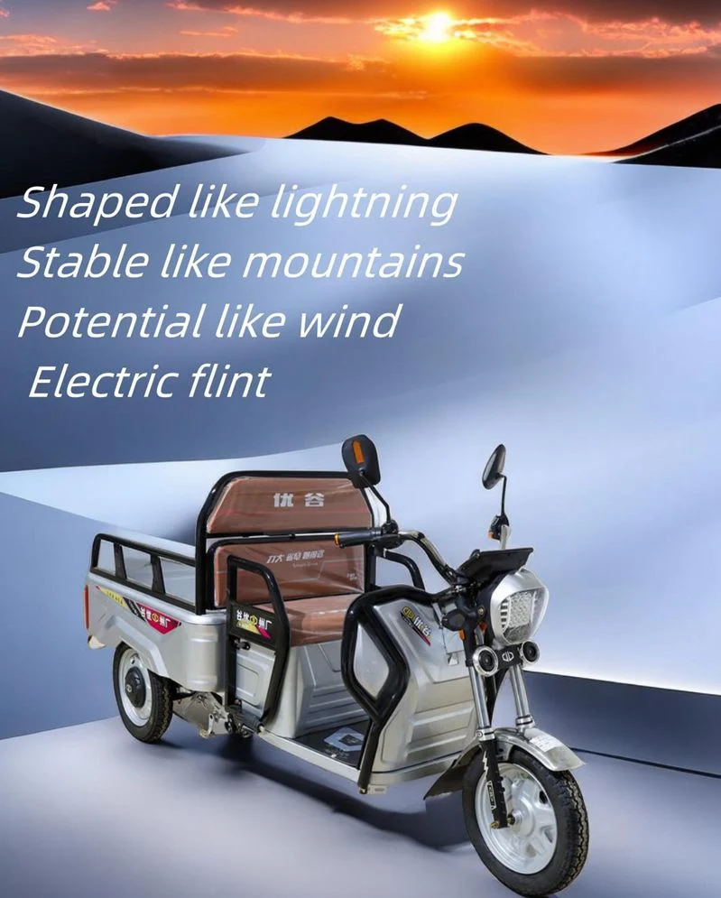 Lubei Vehicle Manufacturer OEM/ODM Factory Cargo Bike Full Closed Electric Tricycle Adults Exporter with Best Service