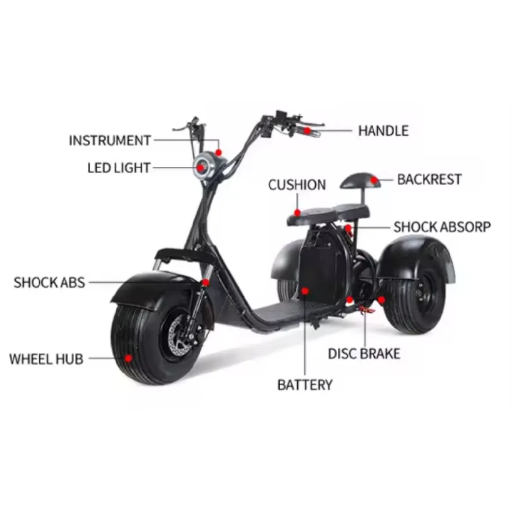 3-Wheel Citycoco Golf Electric Scooter 1500W 2000W Trike CE with Fat Tyres