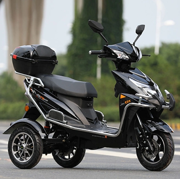 Pardo Zs-T Fashionable Tricycle with Lead-Acid Battery