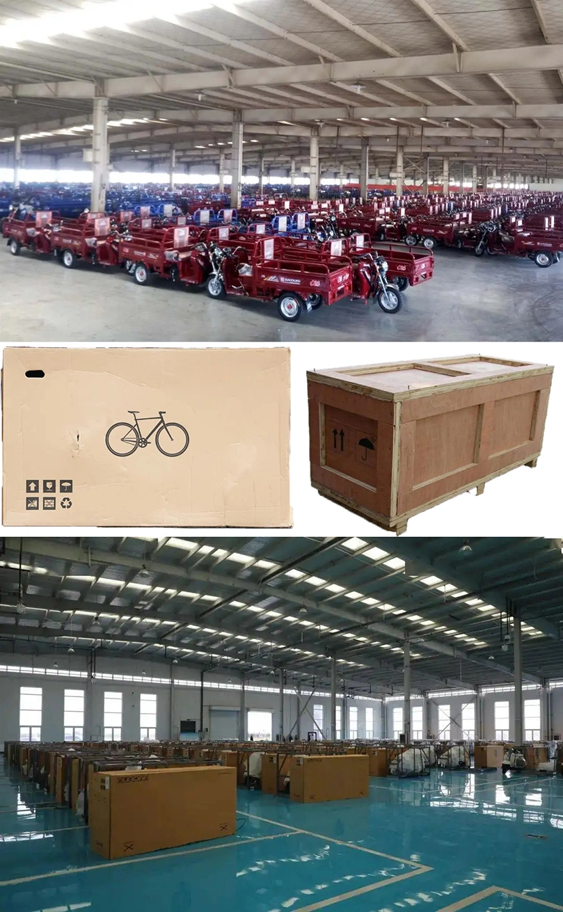 Electric Front for Wheel Cargo Motor Fork Folding Adults 3 Adult Gasoline Dudu Lock Engine 200cc Petrol Star Reverse Tricycle