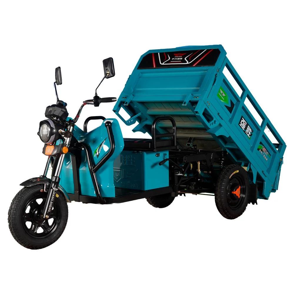 60V 4000W Electric Rickshaw for Cargo Use OEM Loader Tricycle