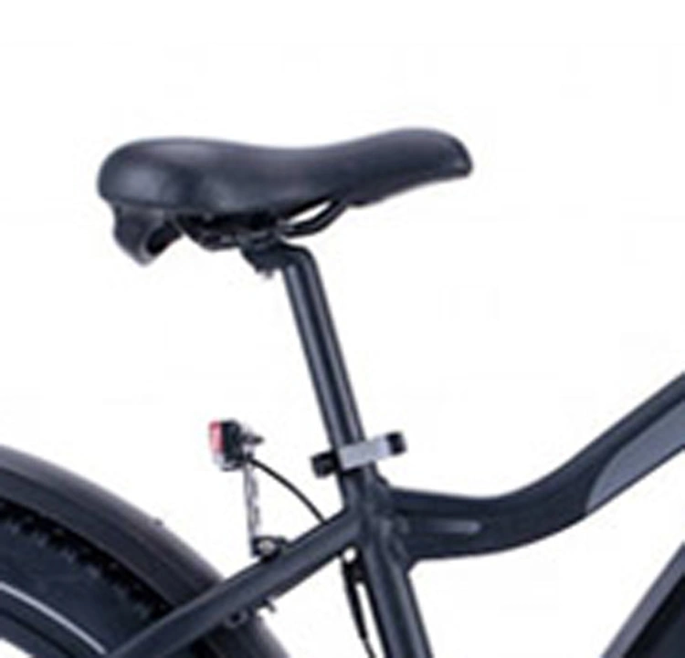 Hot Selling Foldable Adult E-Bike, Two-Wheel Mobility Bike