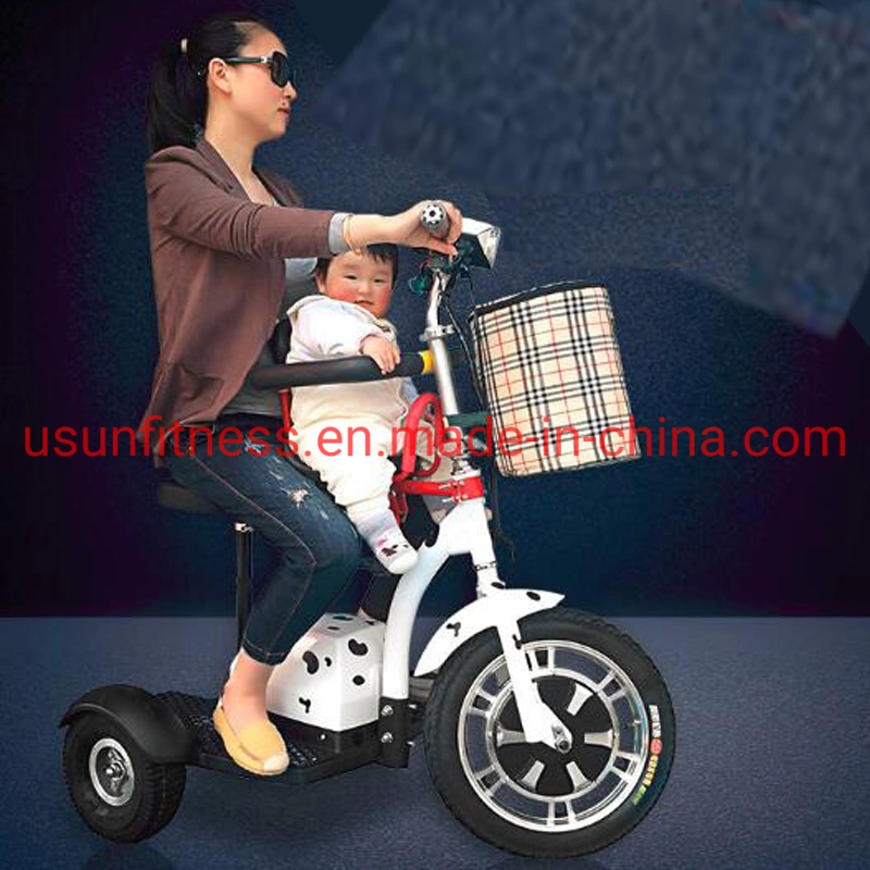 Black Color Electric Bike with 3 Wheels