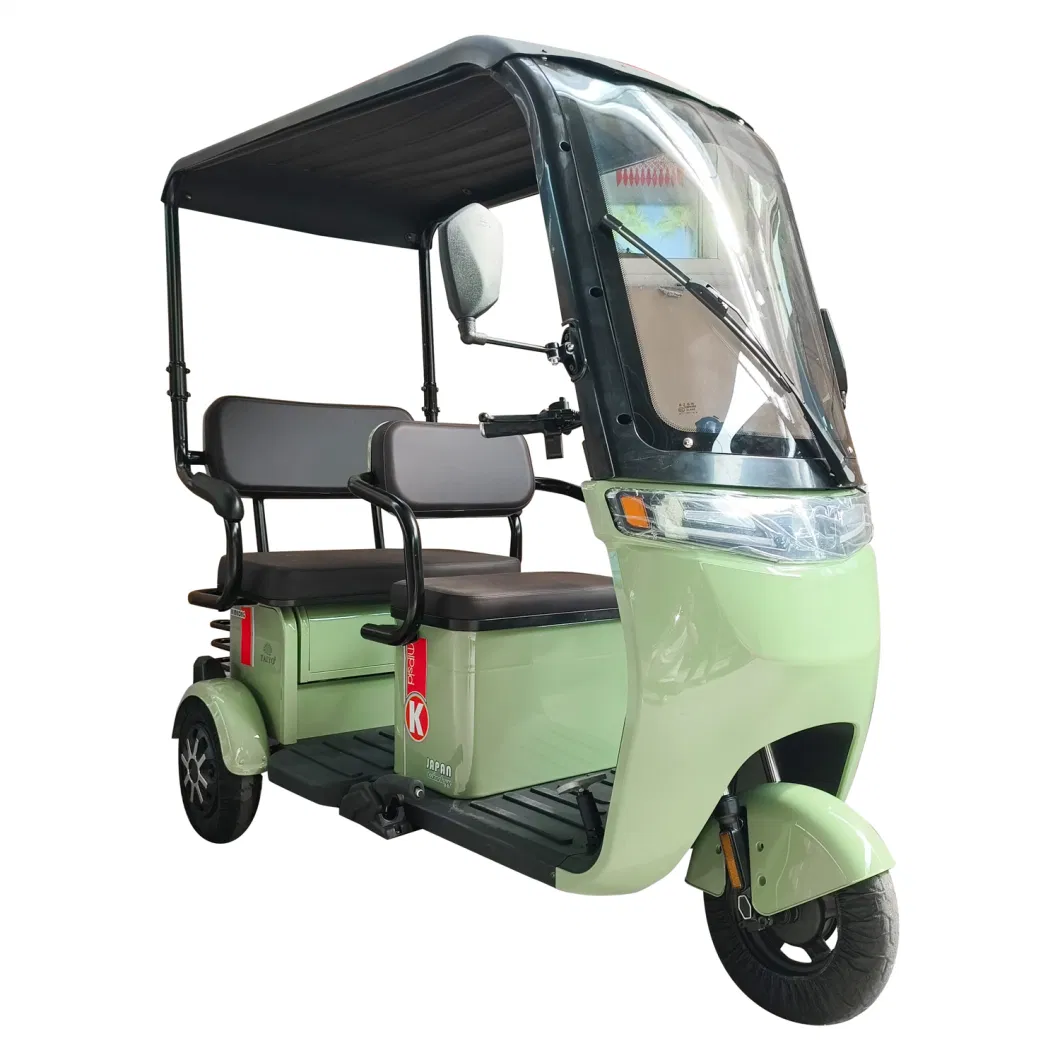 Willstar Ty378 Adult Electric Tricycle 3-Wheel One Driver and 2 Passenger Trike Chilwee 48V20ah Lead-Acid Battery Operated Integrated Shed, Windshild, Wiper